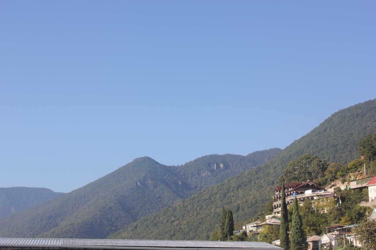 Гостевой дом Guest House Margarita Гагра